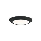 Plafonnier LED Verge Quoizel Lighting VRG1608EK terre noire