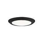 Plafonnier LED Verge Quoizel Lighting VRG1612EK terre noire