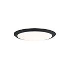 Plafonnier LED Verge Quoizel Lighting VRG1620EK terre noire