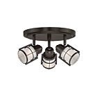 Plafonnier LED Winside Quoizel Lighting WNS1610WT bronze occidental