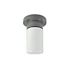 Éclairage de plafond RAB Design RCG100 100W 1-Lumière