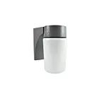 Luminaire mural RAB Design RWG100 100W