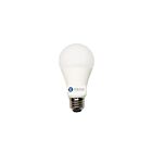 Ampoule A19 LED omnidirectionnelle Reno Lighting RENOA19-5.5W-3000K-ES-POP 5.5W