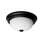 Plafonnier Satco 60-127 2-Lumières 60W Noir mat