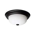 Plafonnier Satco 60-128 2-Lumières 60W Noir mat