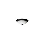 Plafonnier Satco 60-129 3-Lumières 60W Noir mat