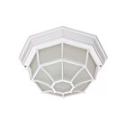 Plafonnier en cage d'araigné Nuvo Lighting 60-3450 1-Lumière 60W Blanc