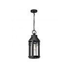 Satco 60-8104 Wilton 1-lumière 100W Noir mat Lanterne suspendue d'extérieur