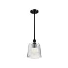 Satco 60-8606 Grayson 100W Noir mat Suspendu