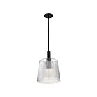 Satco 60-8607 Grayson 100W Noir mat Suspendu