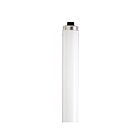 satco S22940 60W T12 Fluorescent Tube 6500K