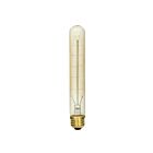 satco s2421 40W T9 Incandescence Ampoule 2700K