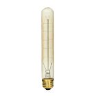 satco s2422 60W T9 Incandescence Ampoule 2700K