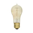 satco s2424 40W A15 Incandescence Ampoule 2700K