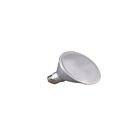 Ampoule LED PAR30 Satco S29420 12.5W