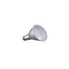Ampoule LED PAR30 Satco S29437 12.5W