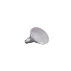 satco S29445 15W PAR38 Argent LED Ampoule 2700K