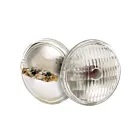 satco s4321 25W PAR36 Incandescence Ampoule