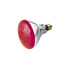satco s4424 100W BR38 Incandescence Reflectors