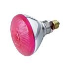 satco s4429 100W BR38 Incandescence Reflectors