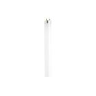 satco S4574 15W T8 Fluorescent Tube