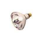 satco s4750 125W R40 Incandescence Reflectors 2700K