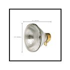 satco s4800 65W PAR38 Incandescence Reflectors 2700K