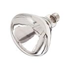 Ampoule incandescente incassable Satco s4885 250w R40