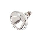 Ampoule incandescente incassable Satco s4885 250w R40