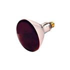 Réflecteurs incandescents Satco s4998 250w R40