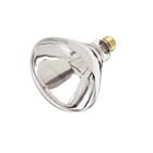 satco s4999 250W R40 Incandescence Reflectors 2700K