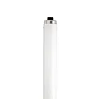 satco S6450 35W T12 Fluorescent Tube 6500K