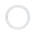 satco s6503 32W T9 Fluorescent Ampoule 4100K