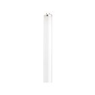 satco S6563 15W T12 Givre Fluorescent Tube 6500K
