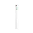 Tube fluorescent linéaire Satco s6638 40w T12 6500K