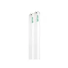 satco S6649 40W T12 Fluorescent Tube 6500K