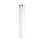 Tube fluorescent linéaire Satco s6661 50w T12 4200K