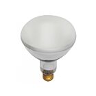 satco s7006 400W BR40 Incandescence Pool Lamp 2700K