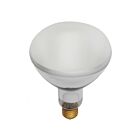satco s7007 500W BR40 Incandescence Pool Lamp 2700K