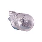 satco S7138 4.29W TL-3.75 Incandescence Miniature 2700K