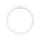 Lampe haute performance circline Satco s8157 22w T5 4100K