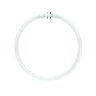 Lampe haute performance circline Satco s8161 55w T5 3000K