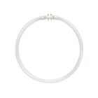 Lampe haute performance circline Satco s8163 55w T5 4100K