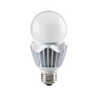 Ampoule LED A21 Satco s8737 20W