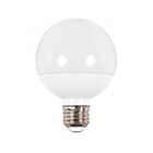 satco S9203 6W G25 Givré LED Ampoule 5000K