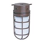 Luminaire LED étanche de plafond Satco SF76-625 100W Bois bronze