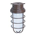 Luminaire LED étanche de plafond Satco SF76-627 200W Old Bronze