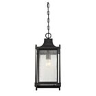 Lanterne suspendue d'extérieur Savoy House 5-3455-BK Dunnmore 1-Lumière 75W
