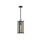 Savoy House 5-3806-BK Jacobs 1-Luminaire 60W Noir Incandescente/LED Suspendu extrieur