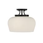 Savoy House 6-6035-3-BK Octave 3-Luminaires 60W Noir Incandescente/LED Plafonnier Semi Encastré